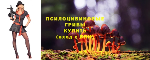 мдма Богданович