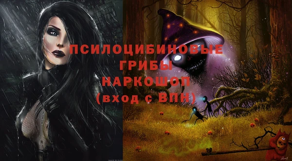герыч Бородино