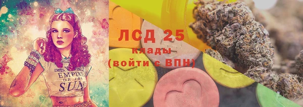 гашик Белоозёрский
