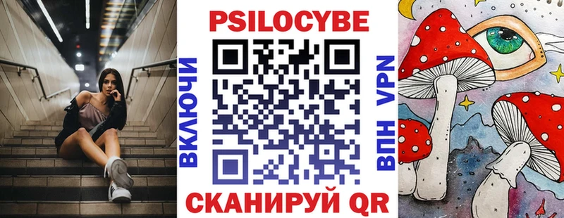 Псилоцибиновые грибы Cubensis  как найти закладки  Белая Холуница 