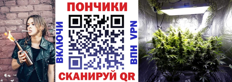 Шишки марихуана конопля  продажа наркотиков  Белая Холуница 